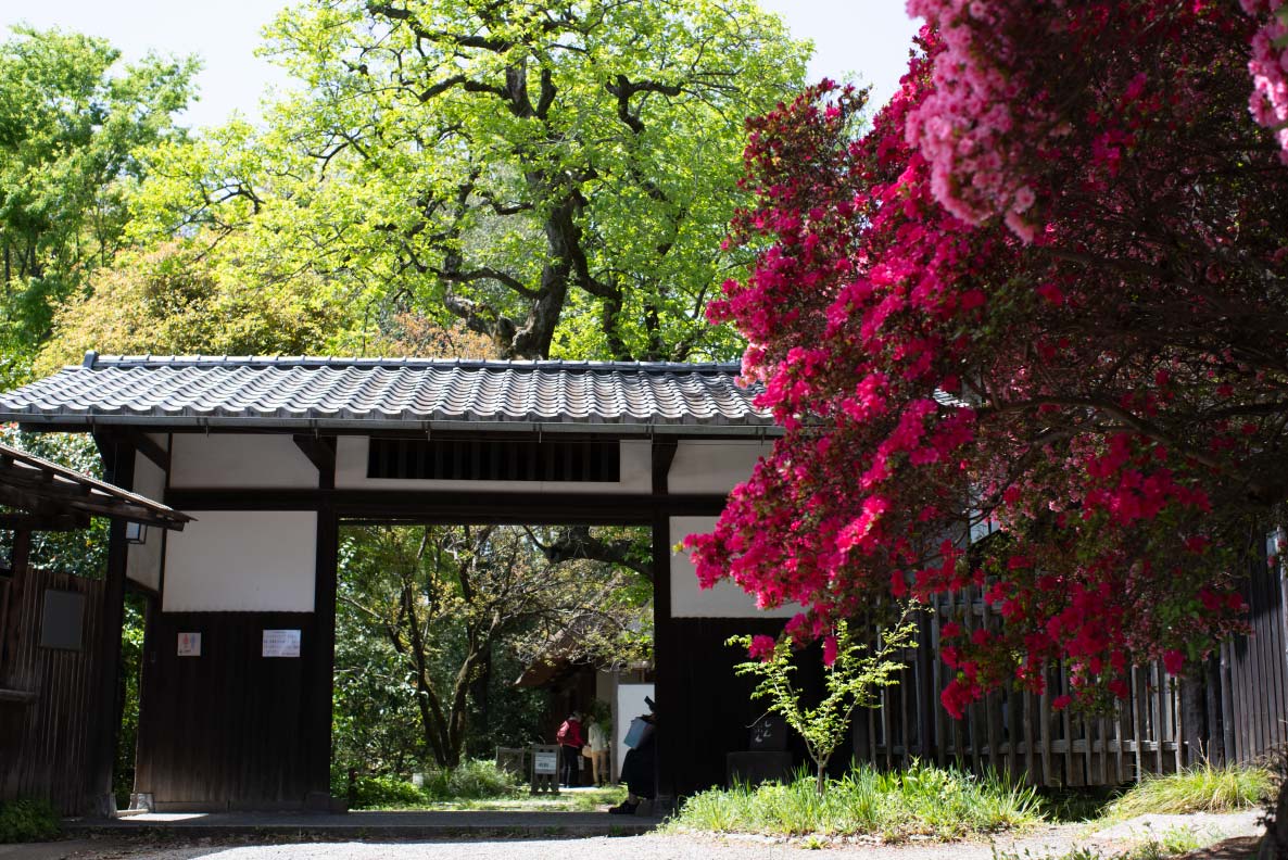 旧白洲邸 武相荘 Buaiso