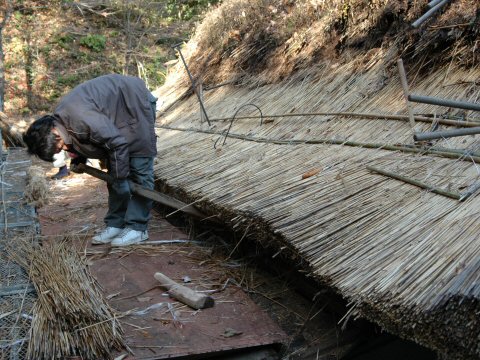 作業の様子