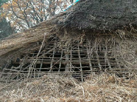 作業の様子