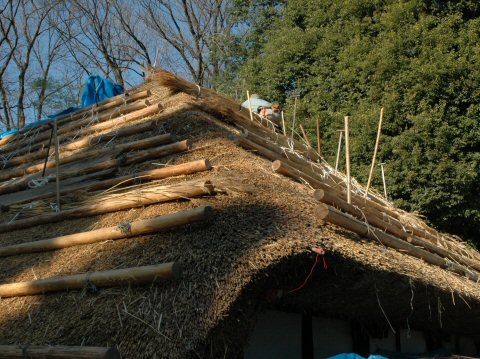 作業の様子