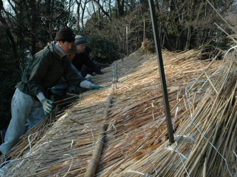 作業の様子