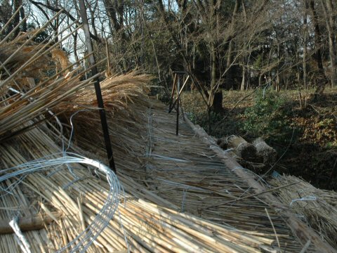 作業の様子